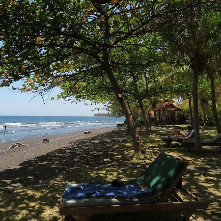 Bali Sandat テジャクラ エクステリア 写真