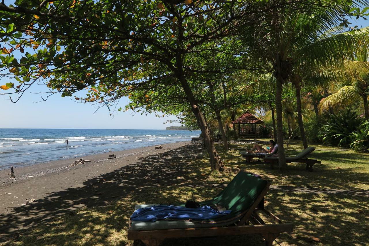 Bali Sandat テジャクラ エクステリア 写真