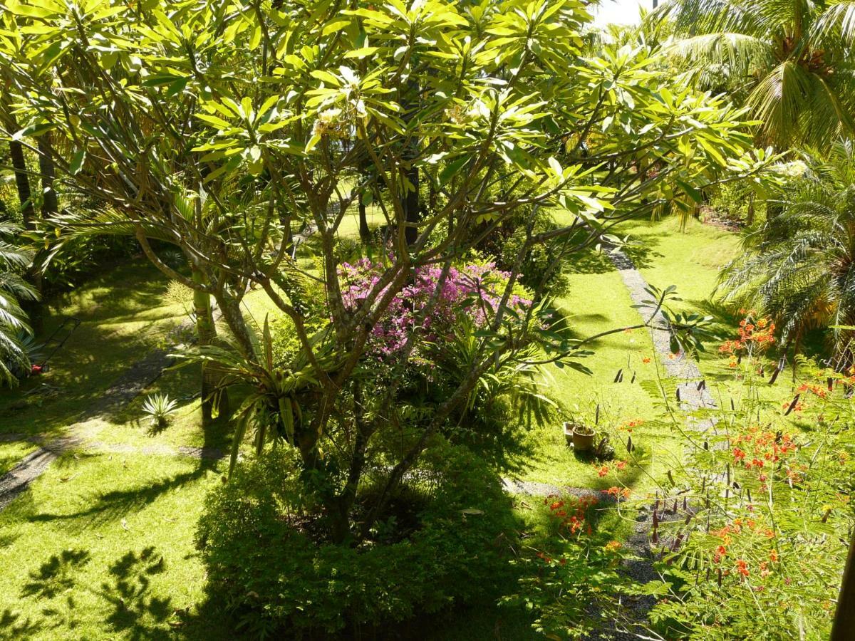 Bali Sandat テジャクラ エクステリア 写真